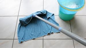 Cleaning Supplies and Maintenance