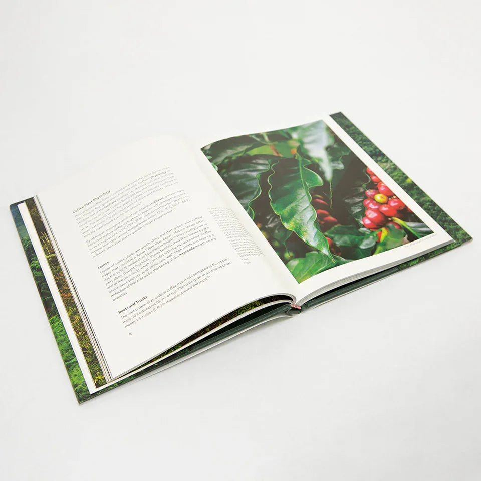 Terroir: Coffee from Seed to Harvest by Jem Challender