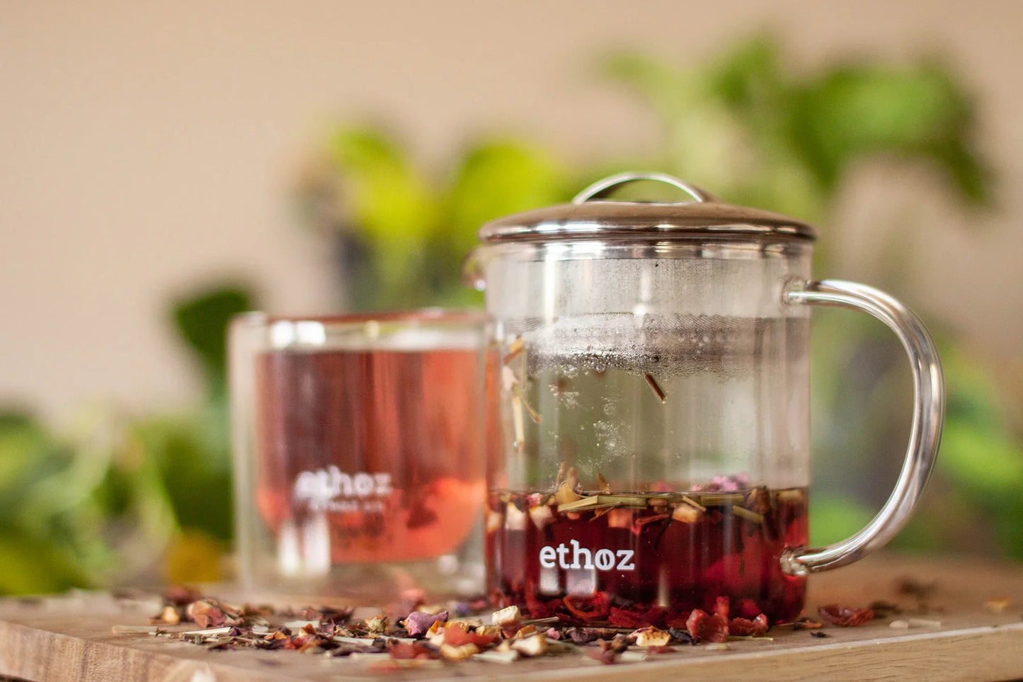 Planetary Design Ethoz Tea Brewer 14oz - FK TB 11