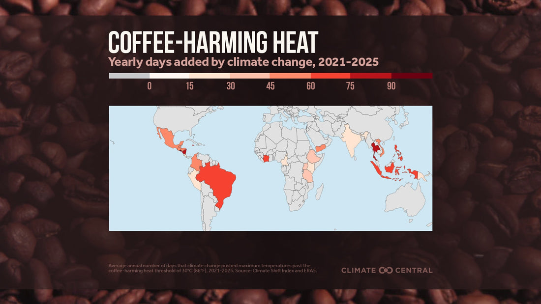 More Coffee-Harming Heat Due to Carbon Pollution