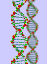 Are you genetically wired for coffee?