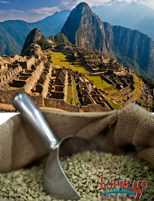 NET weight - Green Beans