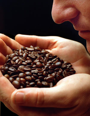 When shopping for perfume, take some coffee with you 