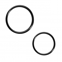 BWT Gasket Set of 2 for Filter Head - FS00Y54A00 / 812167