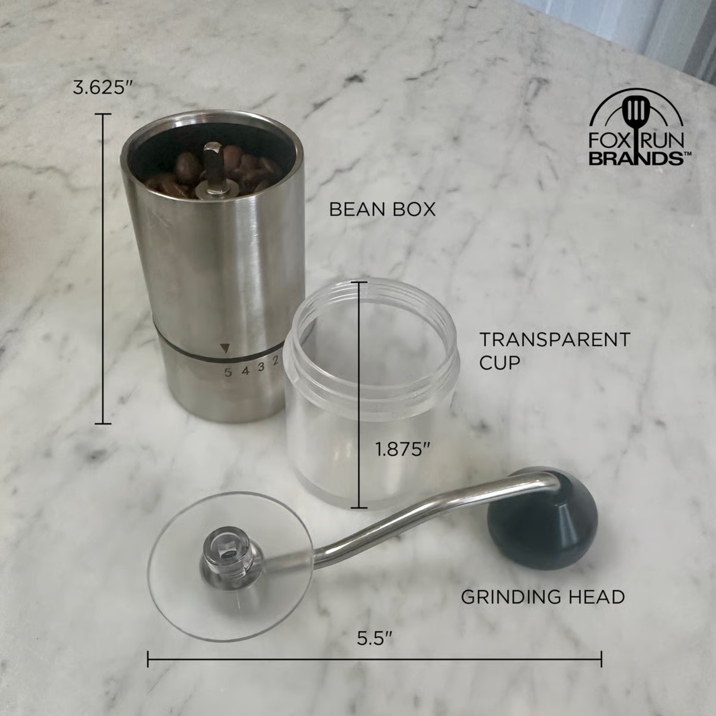 A coffee grinder set shown on a white marble surface with overlaid dimension lines and labels identifying the bean box, transparent cup, and grinding head. The bean box contains coffee beans.