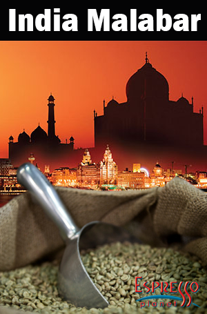 Green Beans - Indian Monsooned Malabar SHG  - 1lb Bag