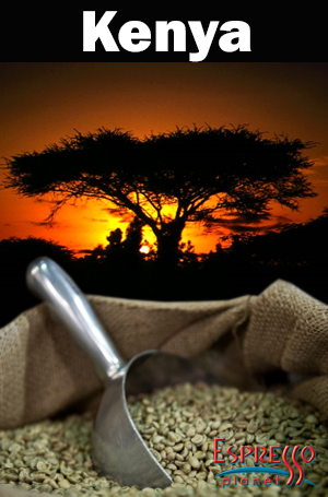 Green Coffee Beans - Kenyan AA 2lb Bag