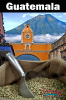 Green Beans - Guatemala Antigua 2lb Bag